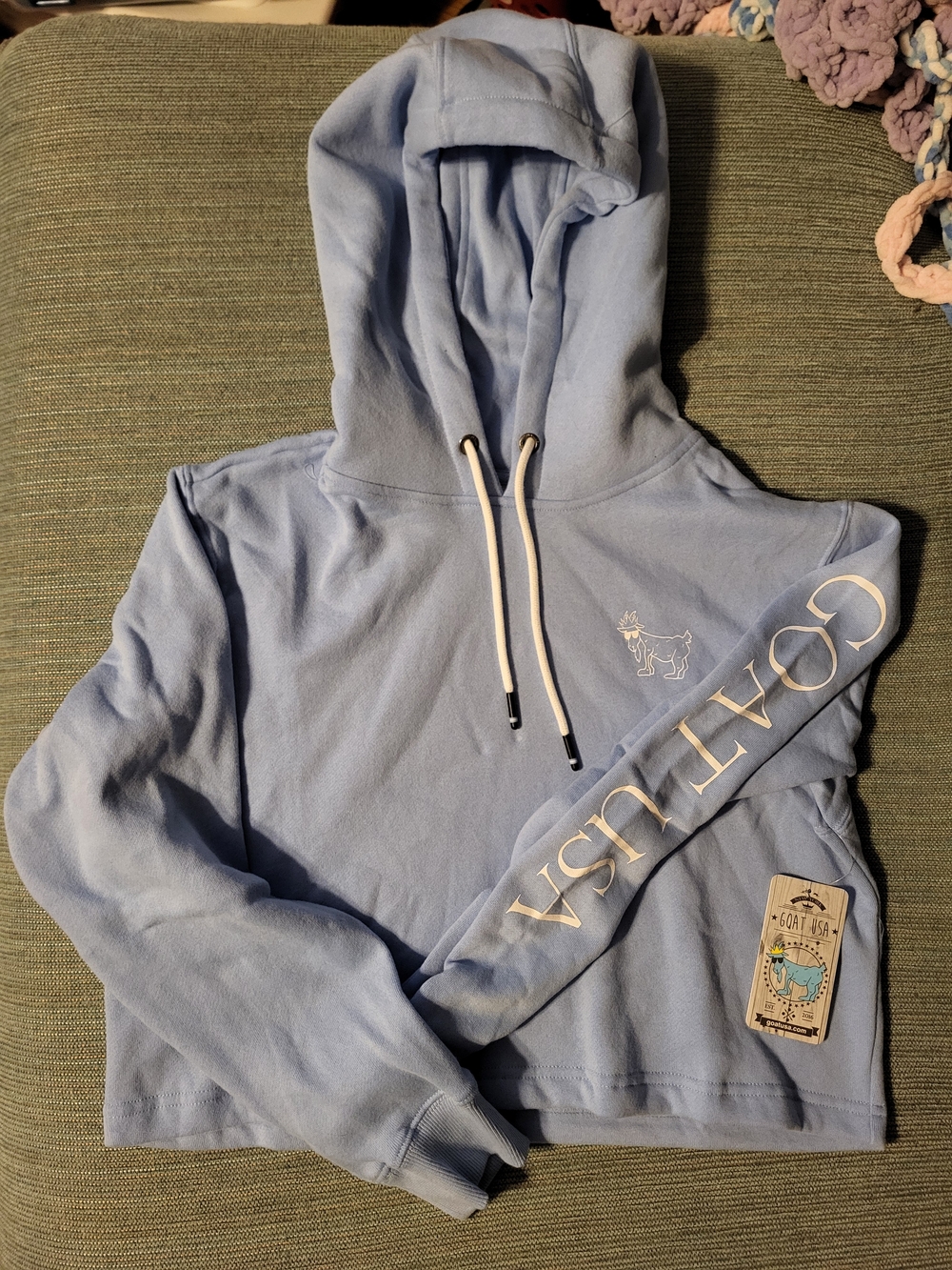 Light Blue Cropped Hoodie with Goat Logo